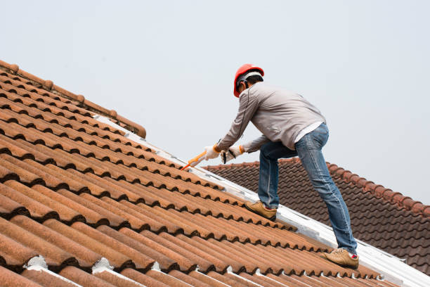 Best Solar Panel Roofing Installation  in Elm Creek, TX