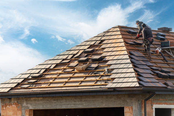 Best Roof Moss and Algae Removal  in Elm Creek, TX